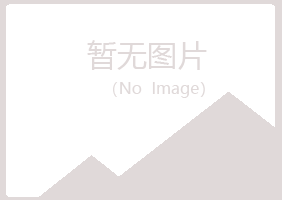 鸡西麻山问雁美容有限公司